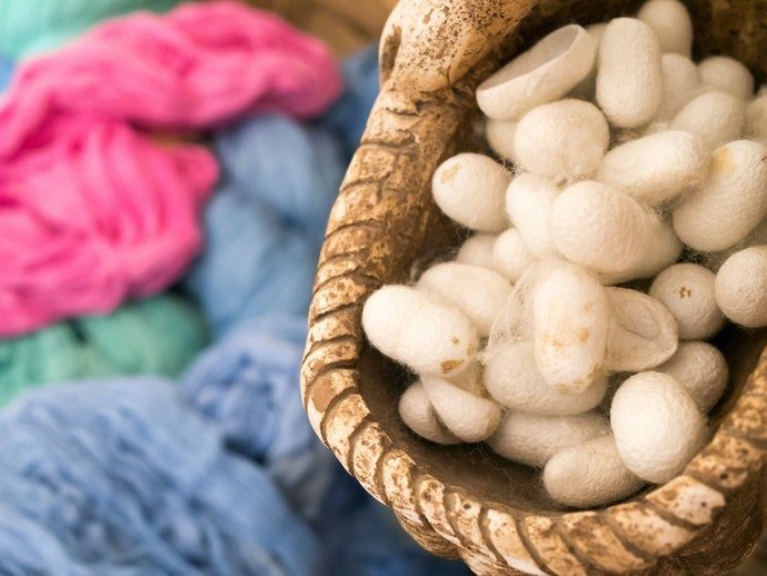 7e2397f1034599e3de58cfc1c6594b9f