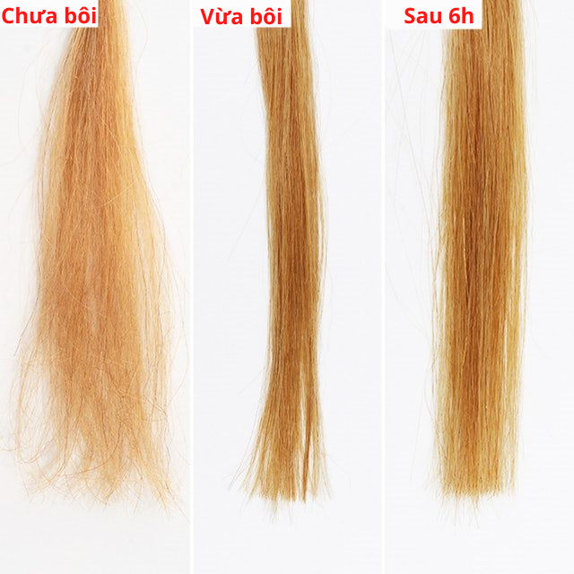 726f76320341be2e9051f43448487b94