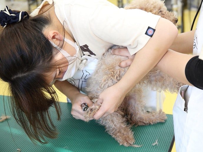 21adfc5d1e47be88f280b32ea47d6fb0