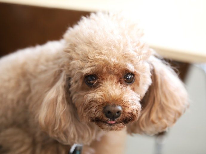 6df3069b1f2c61306c2a1521f7efeeb0