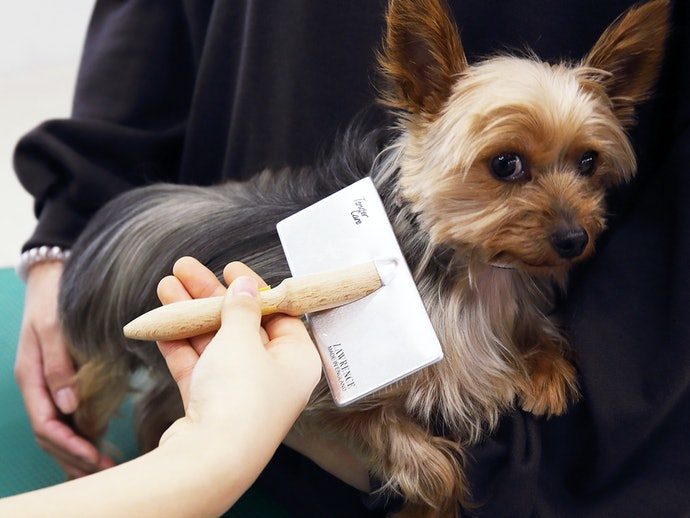 7a80d21b147da602149dc4580ecb2155