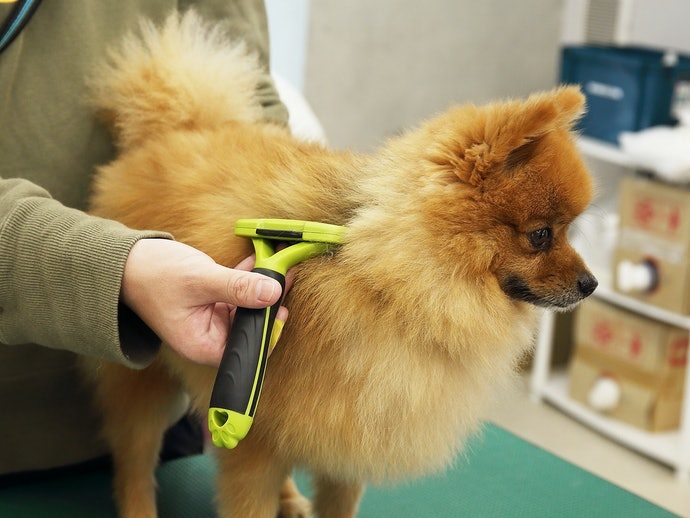 a93ff65a23313ad458e90f2db7b88722