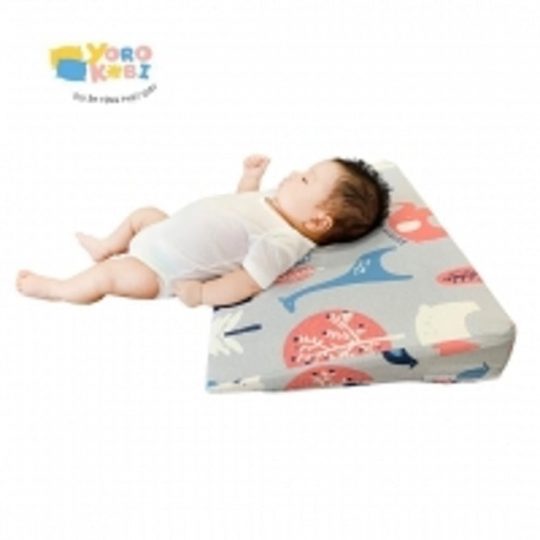 56fc42681eb1cd037225d35ebb624fd4