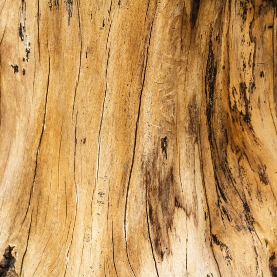 bd03cfdba5dfb333c37cf88cfc68892f