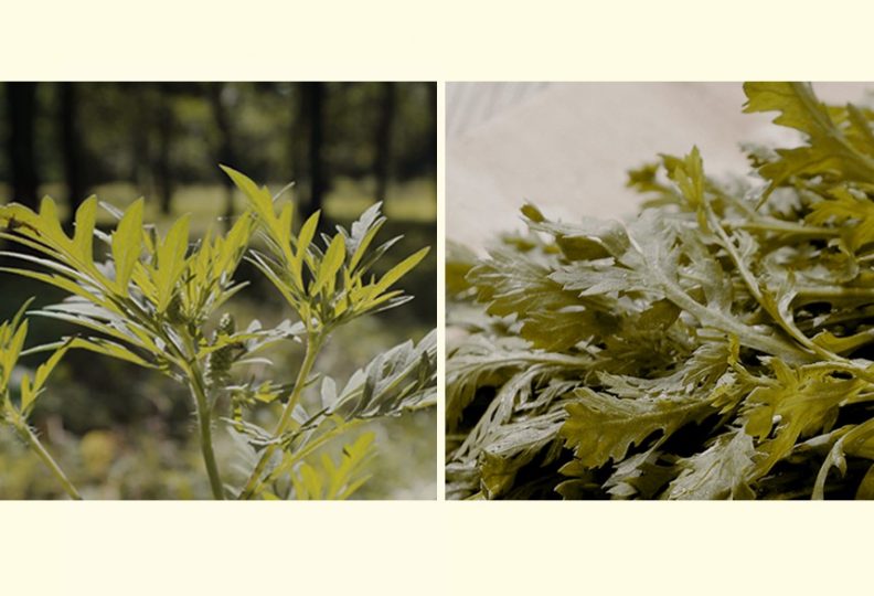 53c7693ecdfa1ecc167ddb474a6f154a