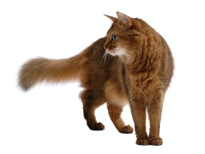 1f988f838804717a18cecddfa99b6b20