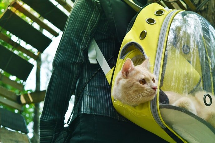 5056b820b07984b7803441a7ba0a8e34