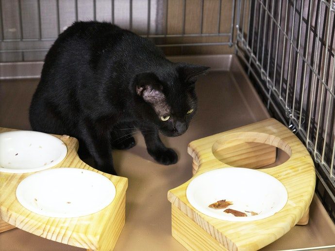 c209eef28adcf1ecc54938d5fd3fa38c