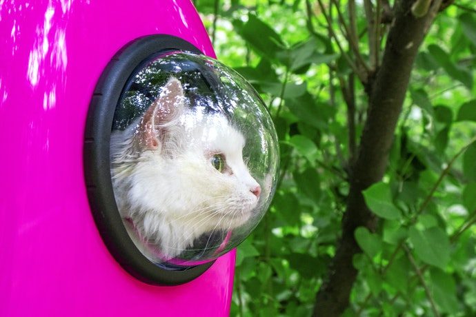 cdb9e93ccf34b687010a8840f4dfa9f1