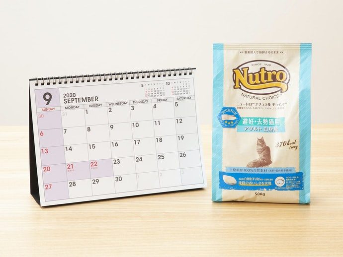 d516fcd85d586da3418f2edfe6629c95