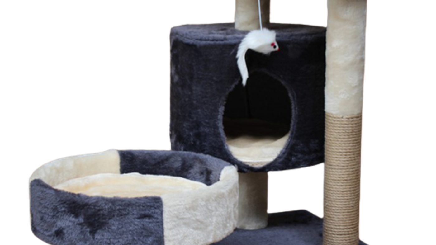 top-10-do-choi-cho-meo-tot-nhat-hien-nay-tu-van-mua-2022_6214aa69ae3c0-png