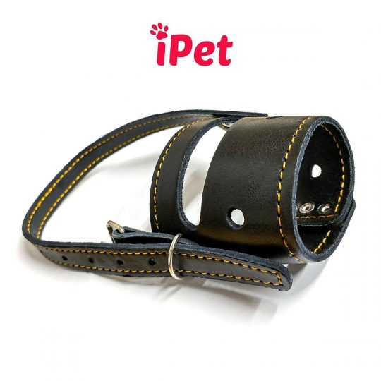 72a46b98dd98506255cbcabe0d9e20e2