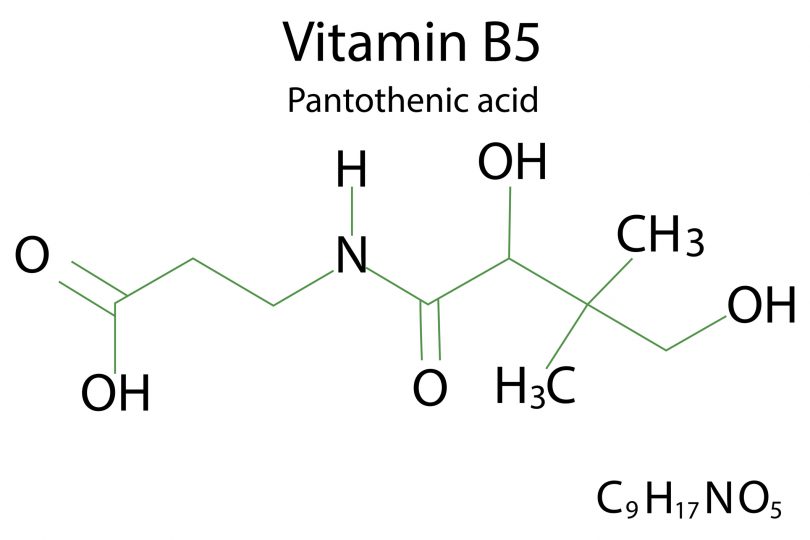 flat-icon-with-vitamin-b-5-for-lifestyle-design-health-care-vitamin-b-5-formula-stock-image-vector-illustration-eps-10