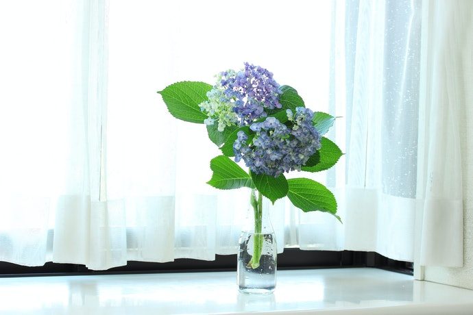 78b5a6f4f83d77af599ef6528a11364a