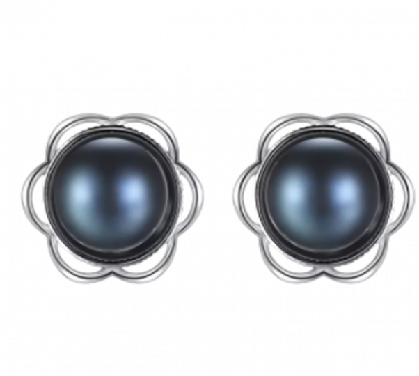 e4dd7eb500e59c50b122320ef5e7bf55