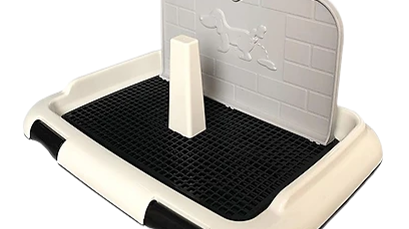 top-10-khay-ve-sinh-cho-cho-tot-nhat-hien-nay-tu-van-mua-2022_623c37c876d6d-png