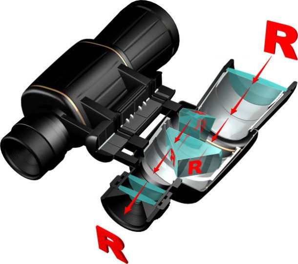 439701d479877df509fa088e966016f2