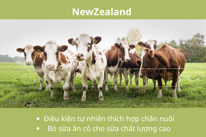 5421b316579404d21eeaa436bf332cdf