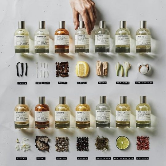 e07ba714335f32a9ee547cf3ac8e03da