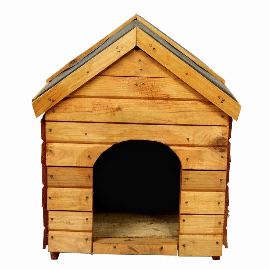 close-up-of-a-dogs-house