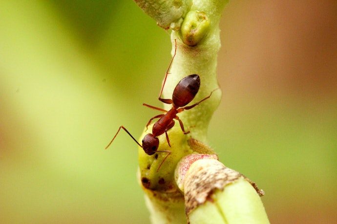 79674b1f1c0afac71ff01c0d5b04a596