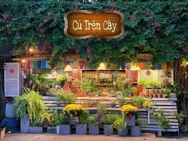 d52733705b83df2e2cd9bd851a0f62ea