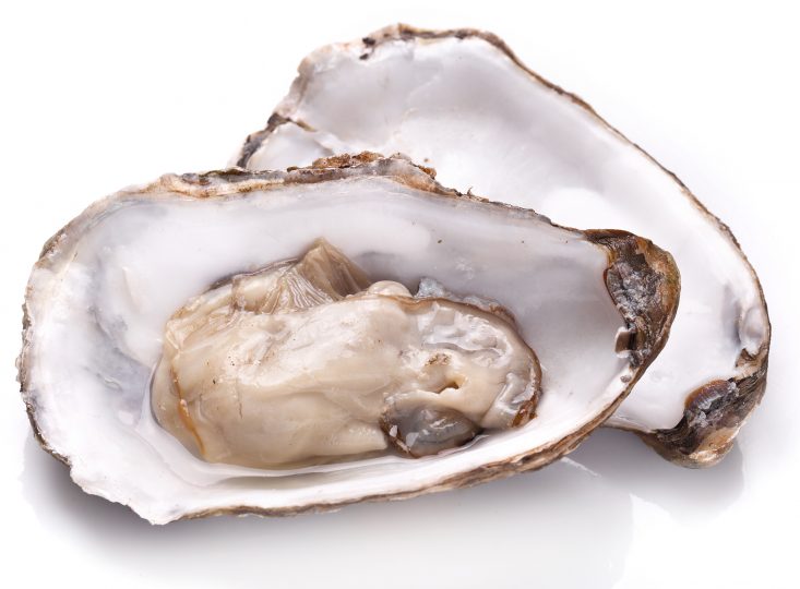 raw-oyster-and-lemon-on-a-whte-background