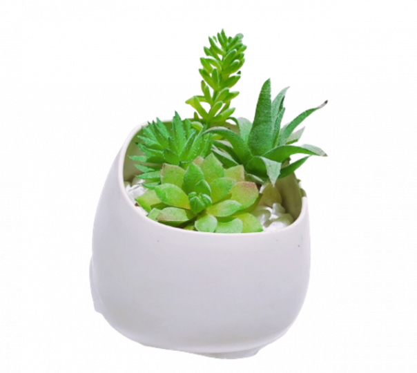 78e4dda03c0f2aa05b6572b6b4bcab20