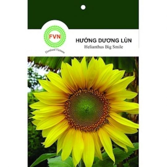 971423c30a206616ed48ccff8d73b23e