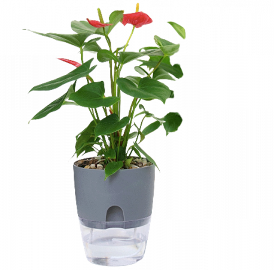 ceac172ccb8fc2dc19b4dc9a95657532