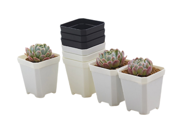 d4358e82f2fb65efa1c1e3c4b56e3af2