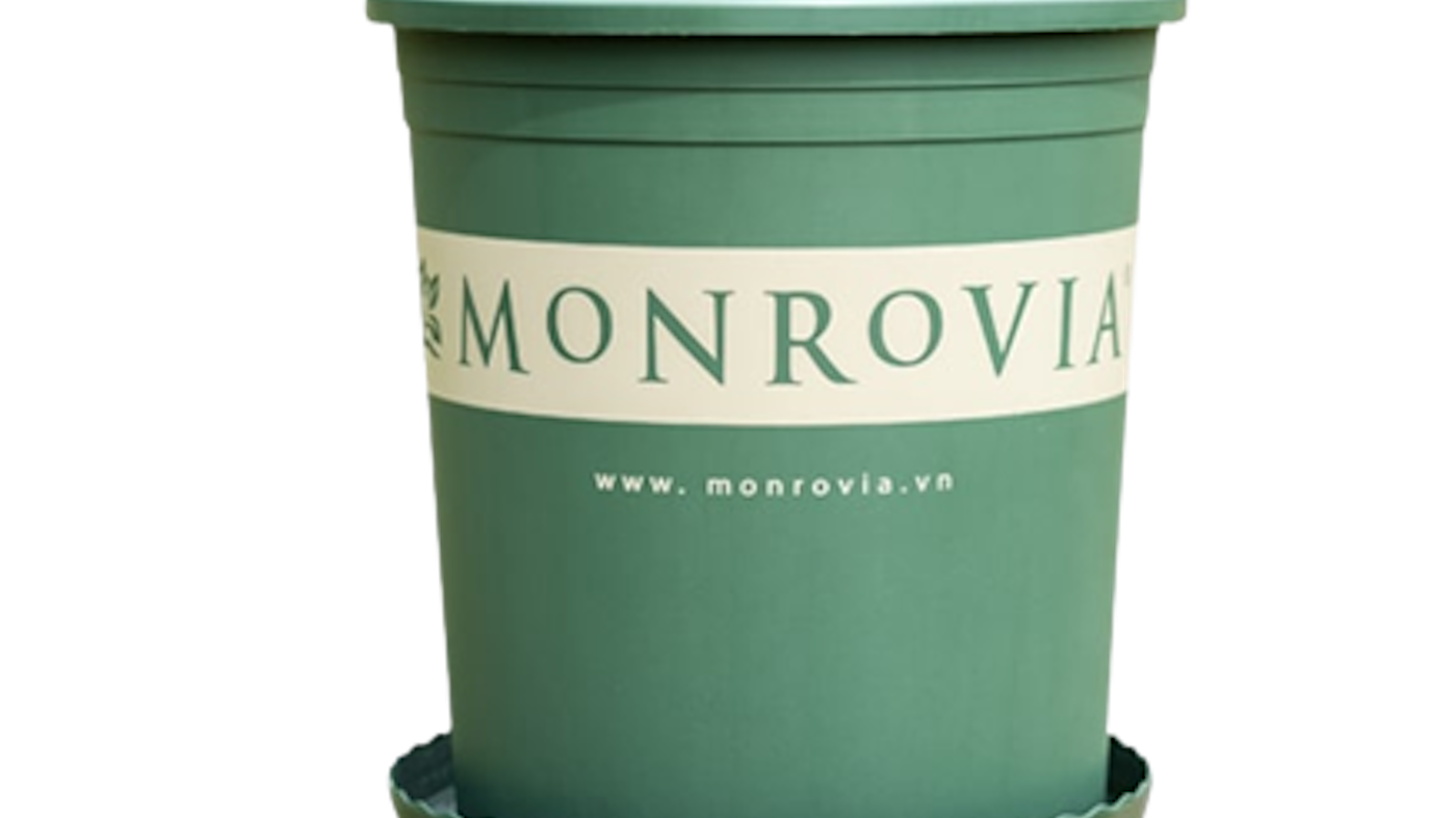 top-9-chau-trong-cay-dep-nhat-hien-nay-monrovia-th-garden-oliz-green-home_633bfa941c07d-png