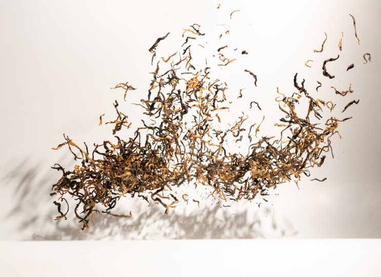 black-tea-leaves-flying-on-white-background