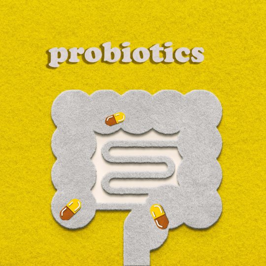 felt-intestines-with-pills