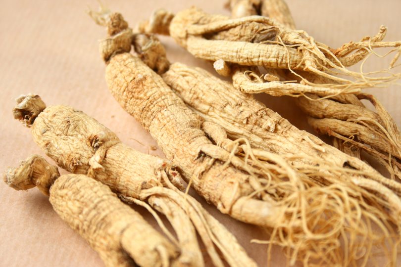 group-of-ginseng-root