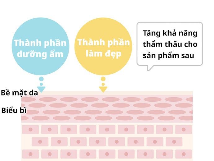 Toner Thực Sự Có Công Dụng Gì?